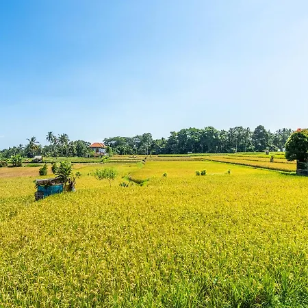 Hygge Villa Ubud Buitenkant foto