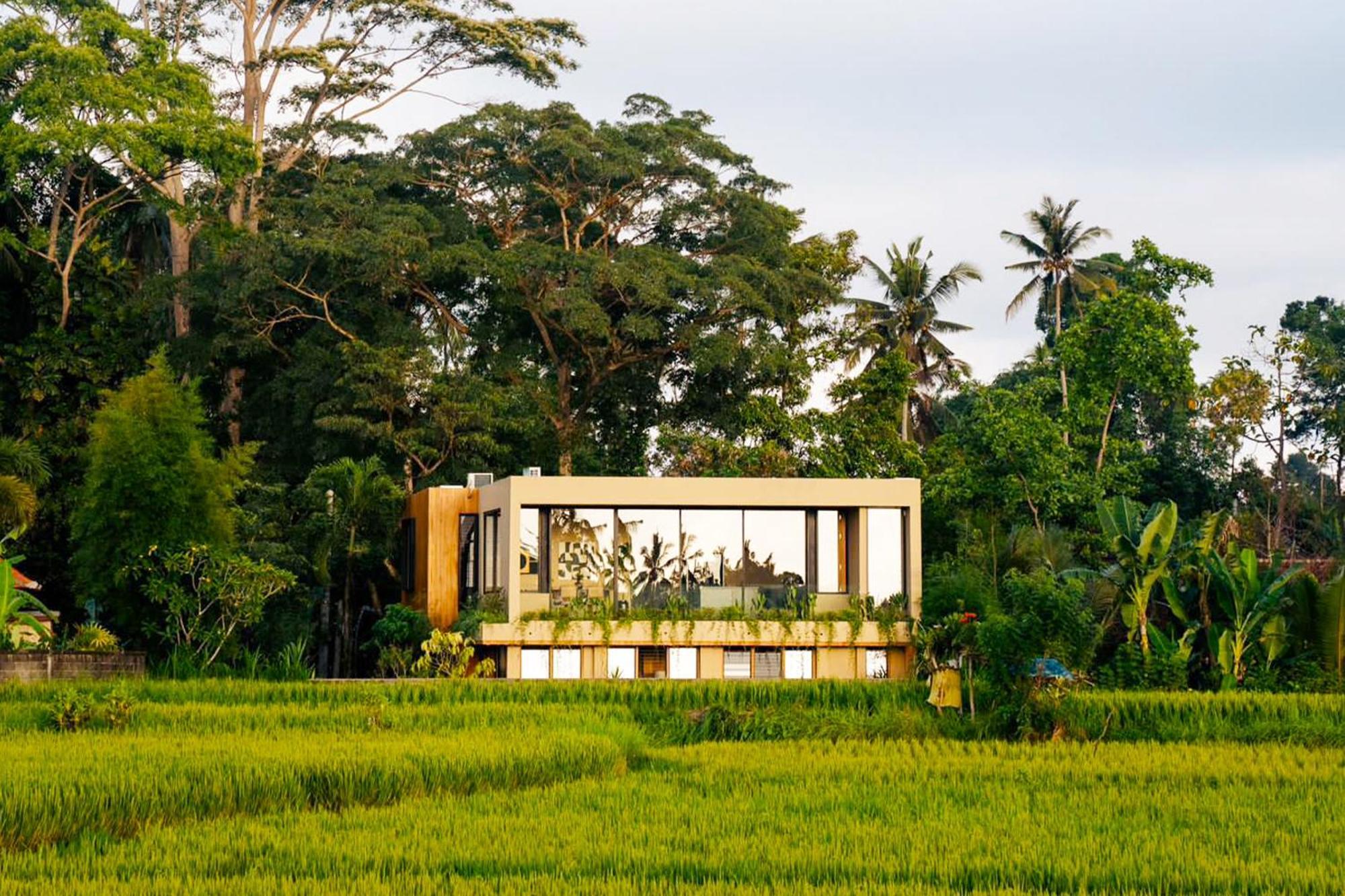 Hygge * Ubud